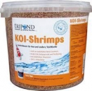 Tripond Koi Shrimps